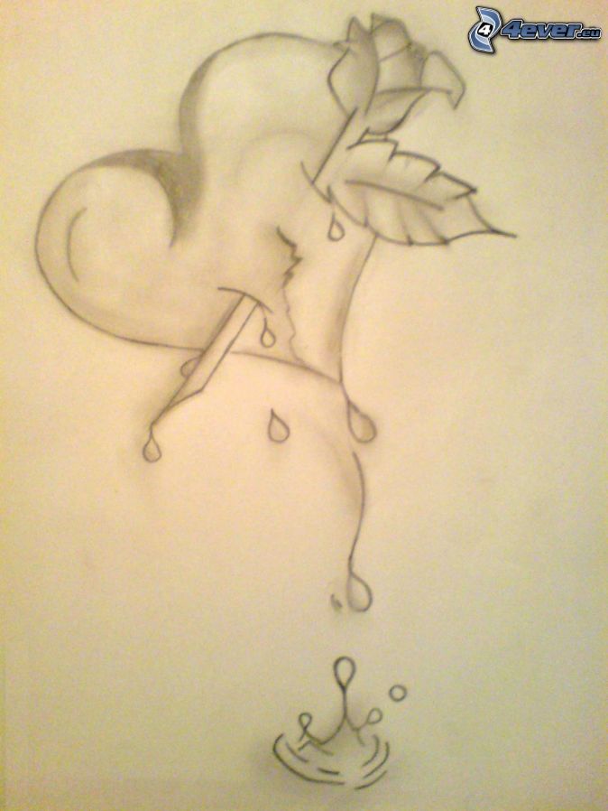 drawing image Heart with rose cartoon picture blood drop Heart with 