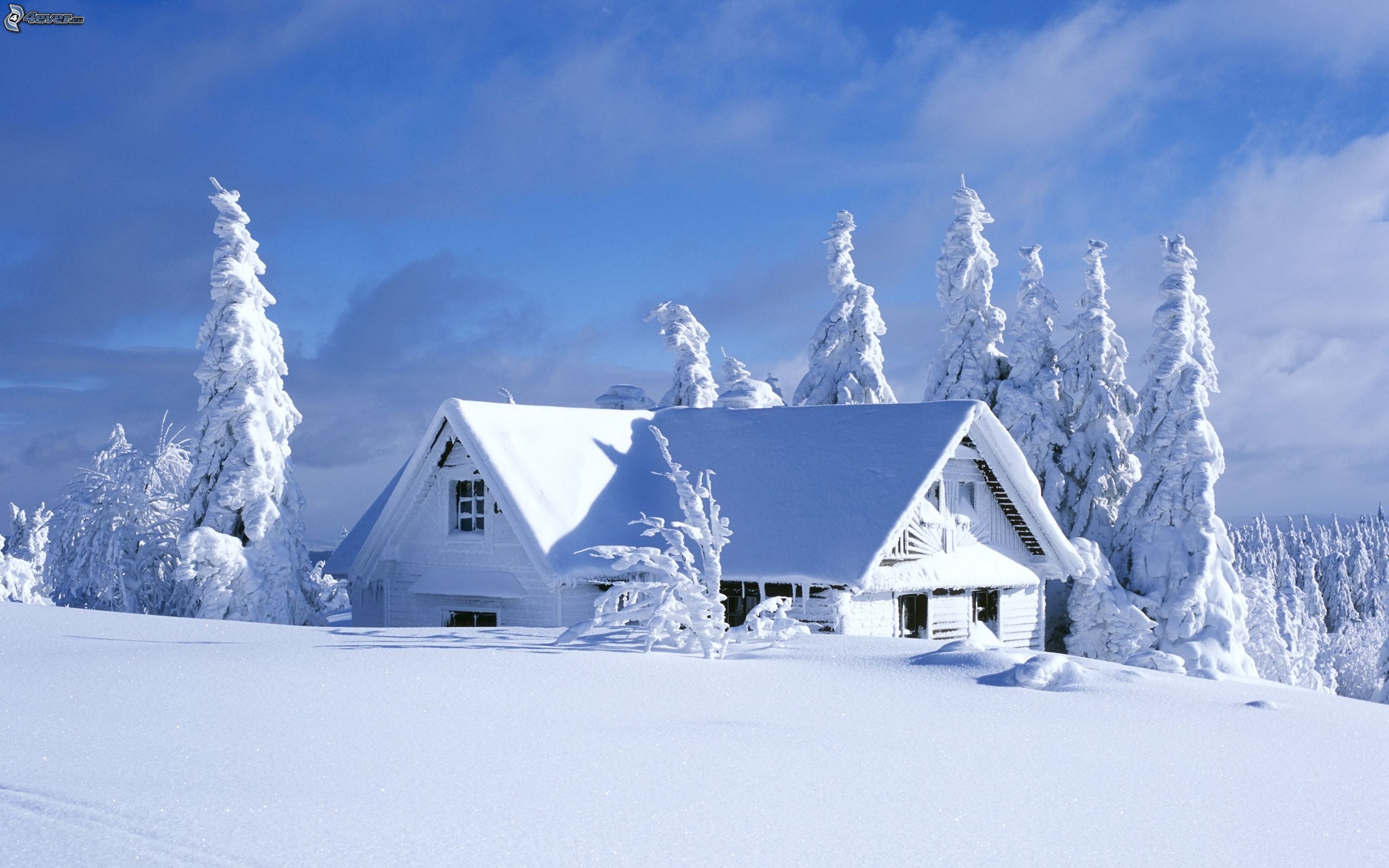 Image result for snow cottage