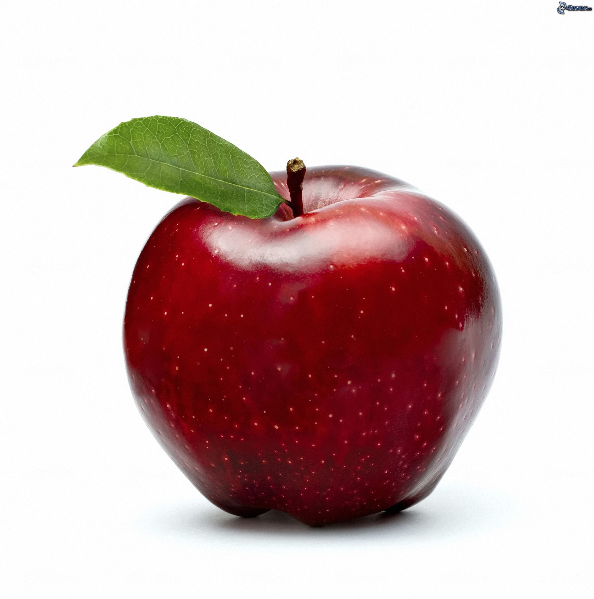 Apple Red Logo