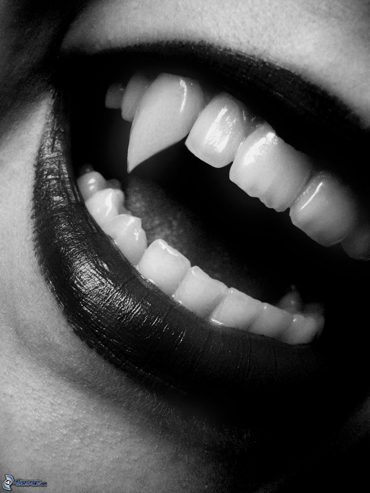 Black Vampire Teeth – JaydenandOlivia