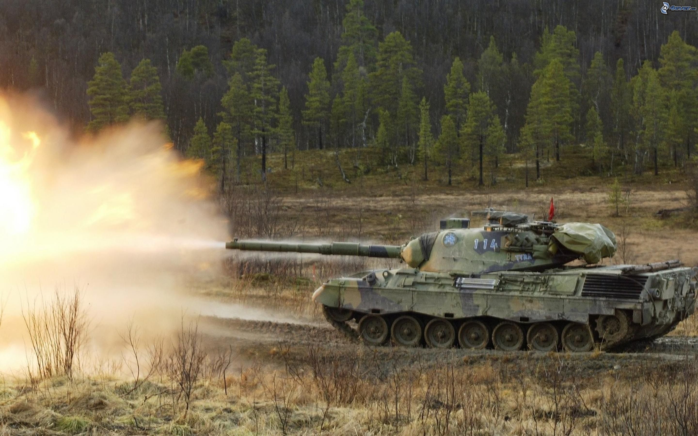 leopard-1,-tank,-shot,-forest-161563.jpg